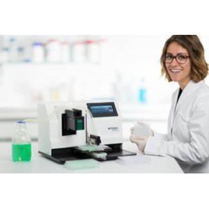 Western blot technology service (western blot)
