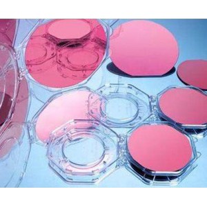 8英寸SOI硅片晶圆